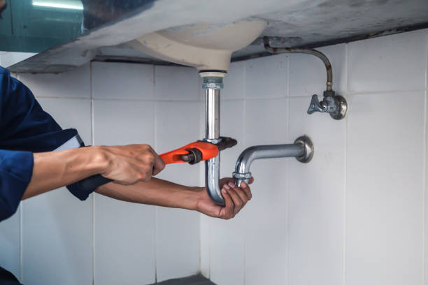 Best Toilet Repair Services  in Richwood, WV